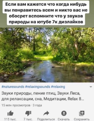 Если вам кажется что когда нибудь вы понравитесь всем и никто вас не обосрет вспомните что у звуков природы на ютубе 7к дизлайков 4 #naturesounds #relaxingsounds #relaxing Звуки природы, пение птиц, З