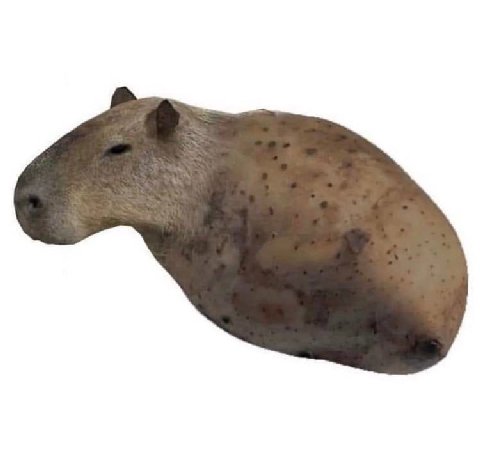 мем