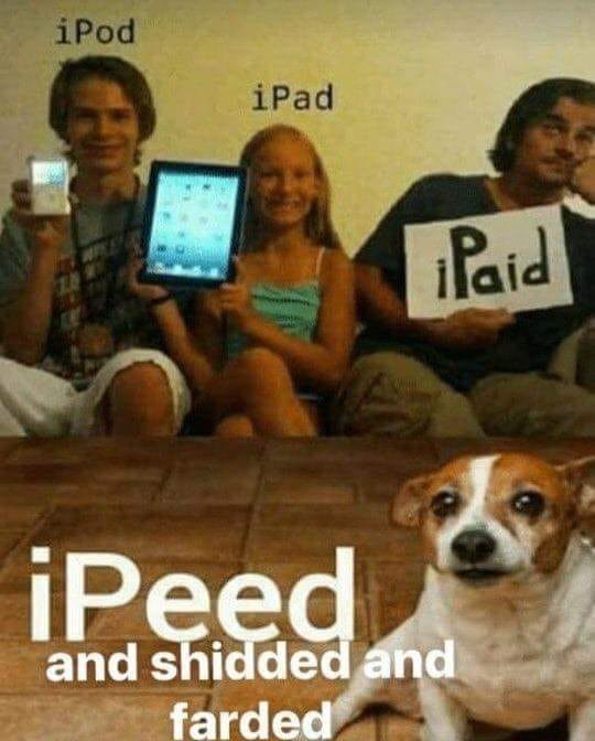 iPad