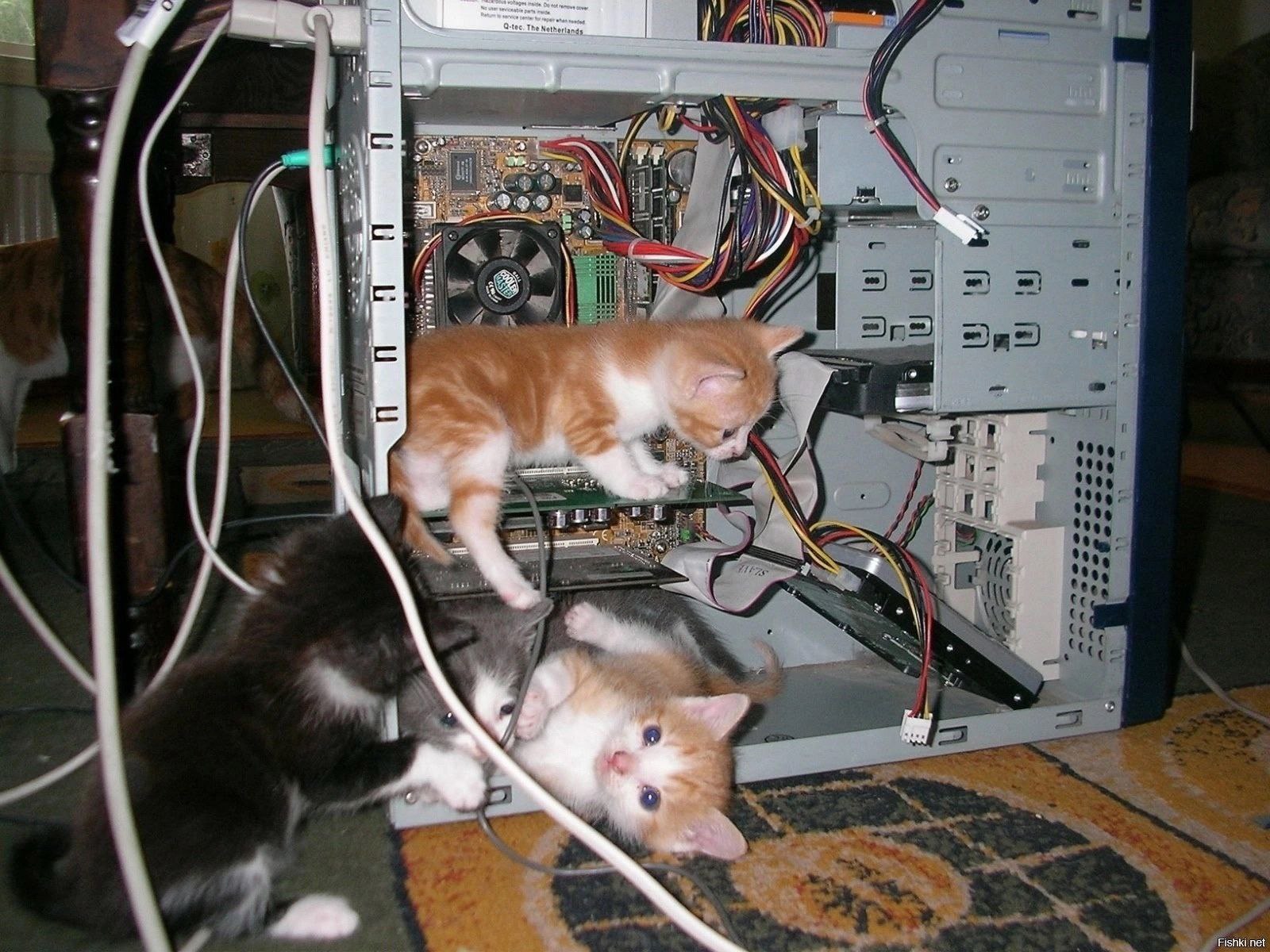 у и я 7 i 4