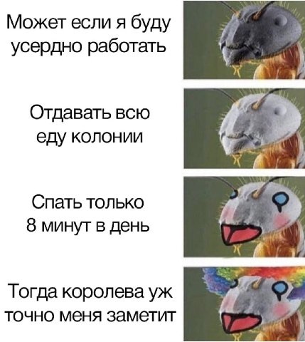 Может если я буду усердно работать Отдавать всю еду колонии К Спать только 8 минут в день Тогда королева точно меня заметит