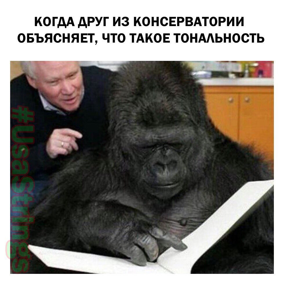 КОГДА ДРУГ ИЗ КОНСЕРВАТОРИИ ОБЪЯСНЯЕТ, ЧТО ТАКОЕ ТОНАЛЬНОСТЬ