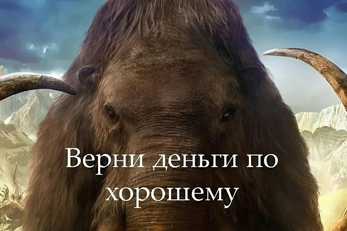 Верни деньги по хорошему