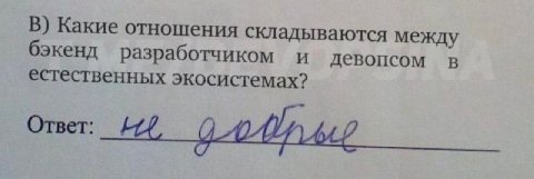 В) Какие отношения складываются между бэкенд разработчиком и девопсом в естественных экосистемах? Ответ: