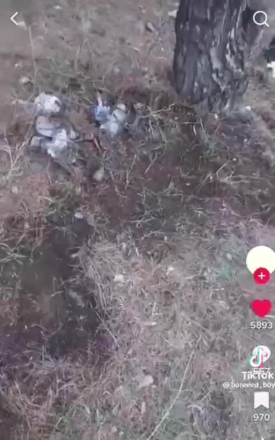 сакартвело для грустных