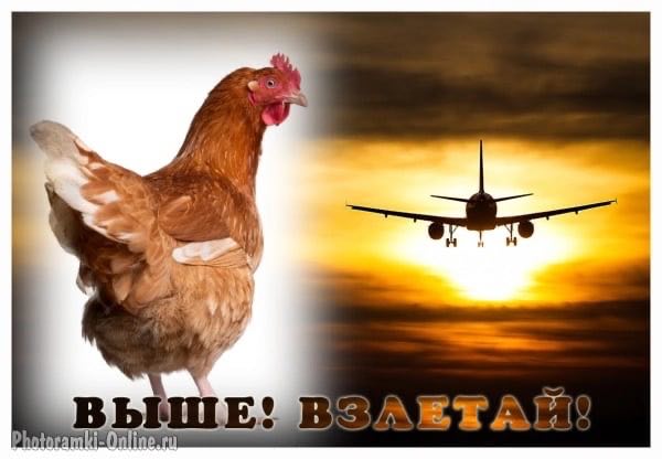 у у A 2 и