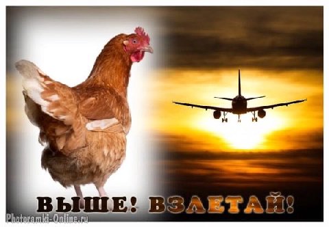 у у A 2 и