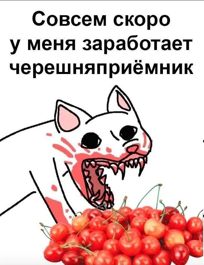 Совсем скоро у меня заработает черешняприемник