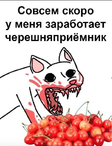 Совсем скоро у меня заработает черешняприемник