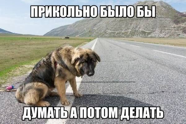 БЫ ПОТОМ ДЕЛАТЬ