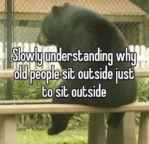 understanding sit outside just sit
