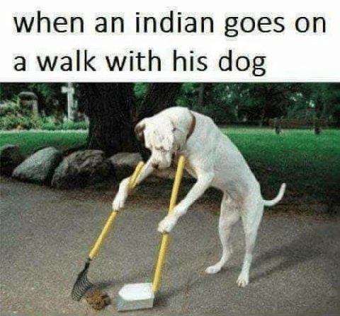 when indian goes a walk with his dog