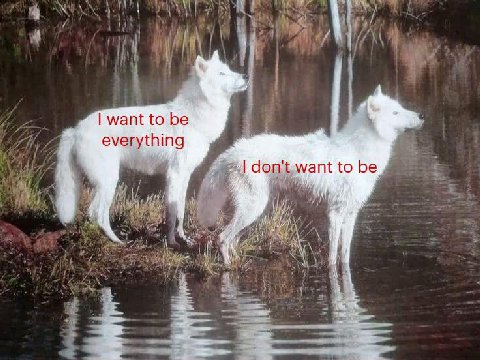 want to be thing deg to be