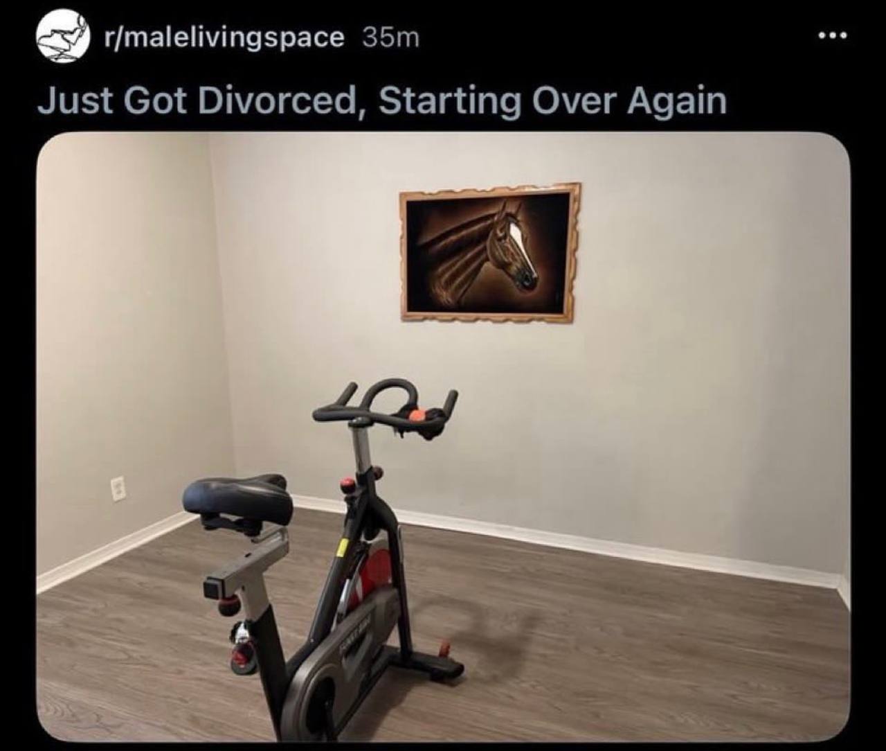 r/malelivingspace Just Got Divorced, Starting Over Again