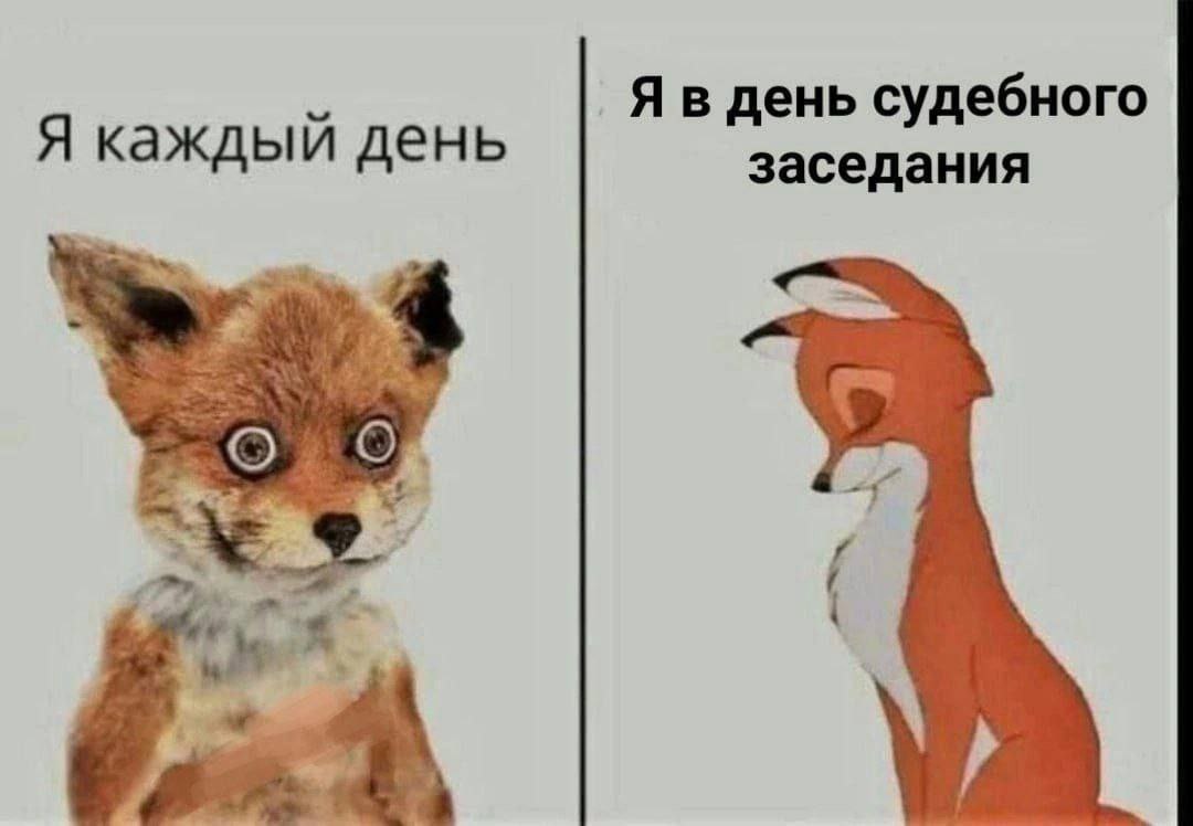 Я в день судебного Я каждый день заседания