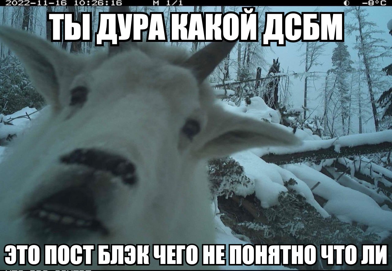 10:26:16 ТЫ ДУРА КАКОЙ ДеБМ ЭТО ПОСТ ЧЕГО НЕ ПОНЯТНО ЧТО ЛИ