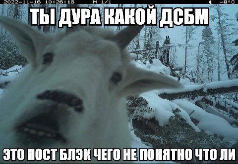 10:26:16 ТЫ ДУРА КАКОЙ ДеБМ ЭТО ПОСТ ЧЕГО НЕ ПОНЯТНО ЧТО ЛИ