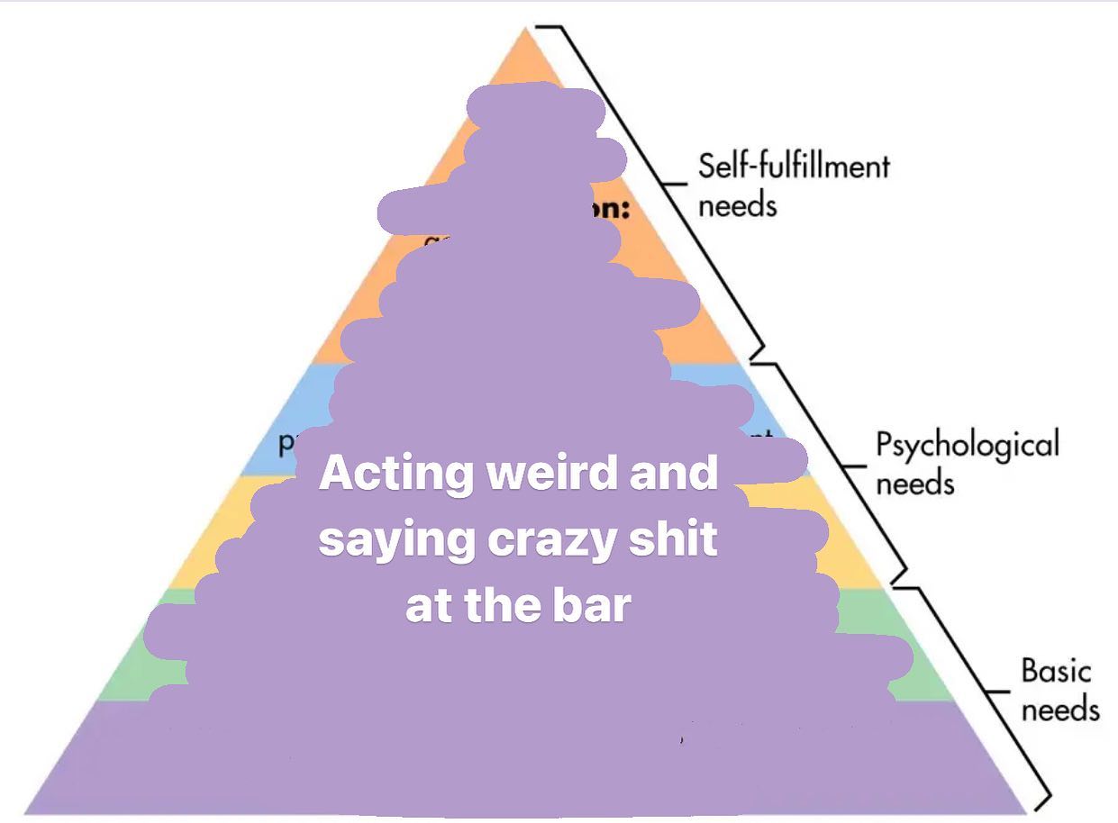 Self-fulfillment needs Psychological Acting weird and needs saying crazy shit at the bar Basic needs