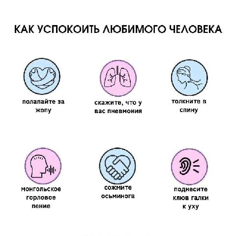 КАК УСПОКОИТЬ ЛЮБИМОГО ЧЕЛОВЕКА полапайте за скажите, что у толкните в жопу вас пневмония спину монгольское сожмите поднесите горловое осьминога клюв галки пение к уху