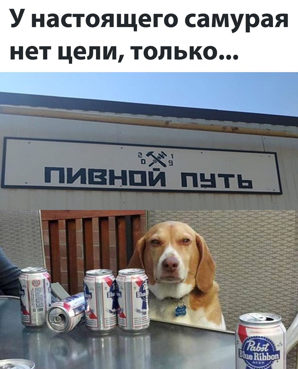 У настоящего самурая нет цели, только...