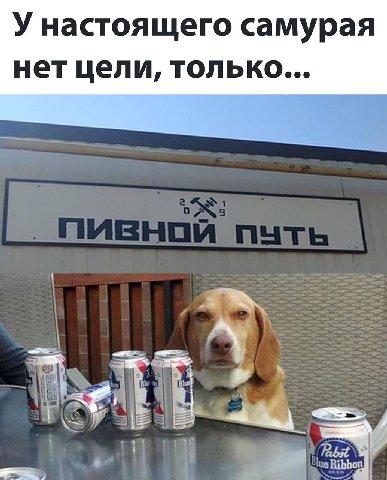 У настоящего самурая нет цели, только...