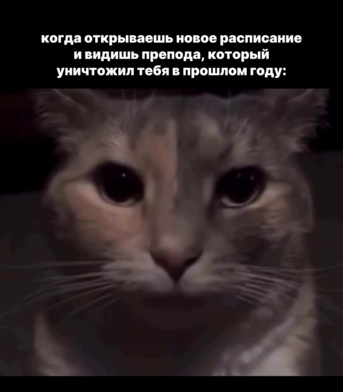когда открываешь новое расписание ивидишь препода, который уничтожил тебя в прошлом году: