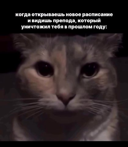 когда открываешь новое расписание ивидишь препода, который уничтожил тебя в прошлом году:
