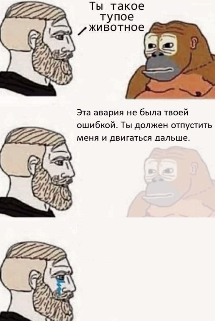 Ты такое тупое вотное Я Эта авария не была твоей ошибкой. Ты должен отпустить меня и двигаться дальше.