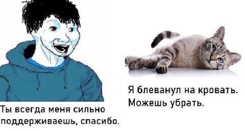 Я блеванул на кровать. Можешь убрать. Ты всегда меня сильно поддерживаешь, спасибо.