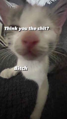 hink youtne snits