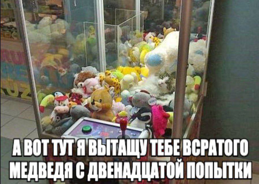А ЯВЫТАЩУ ТЕБЕ ВСРАТОГО МЕДВЕДЯ С ДВЕНАДЦАТОЙ ПОПЫТКИ