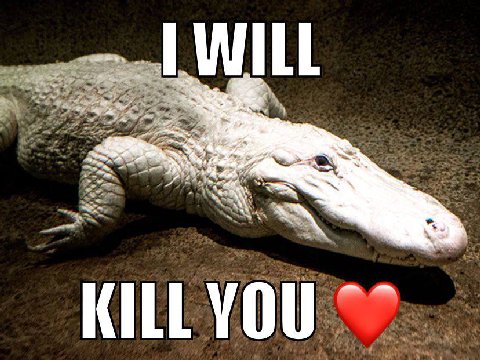 WILL