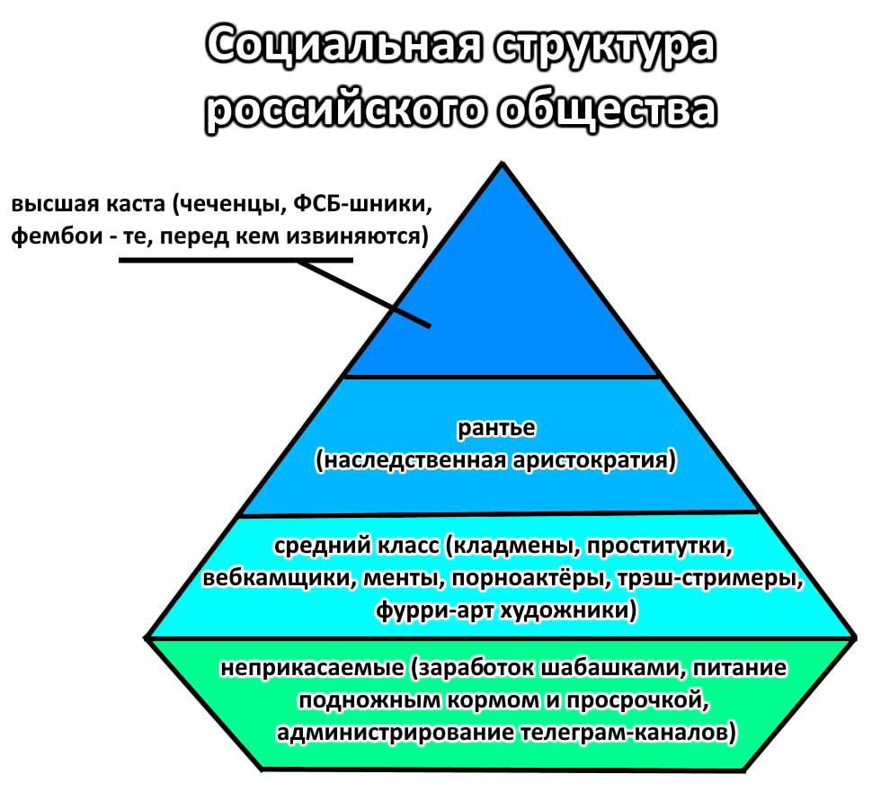 высшая каста (чеченцы, ФСБ-шники, фембои перед кем извиняются) фурри-арт художники) неприкасаемые (заработок шабашками, питание подножным кормом и просрочкой,