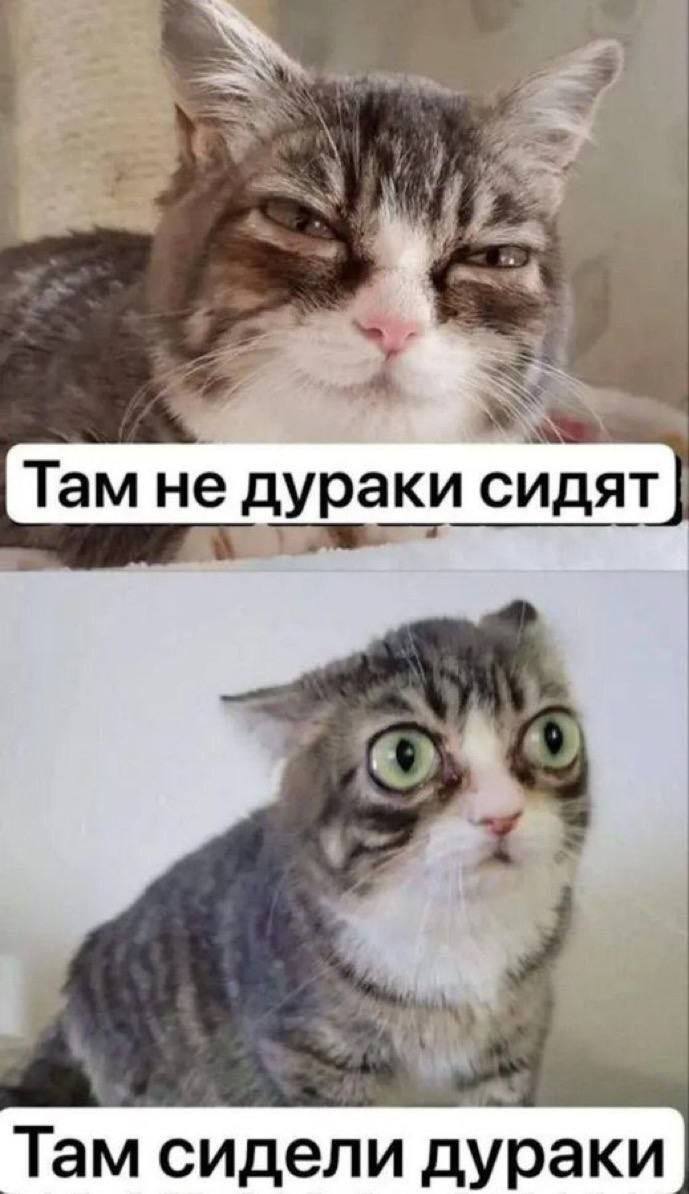 Там не дураки сидят i Там сидели дураки