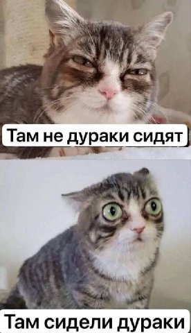 Там не дураки сидят i Там сидели дураки