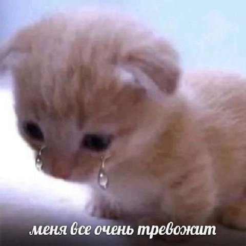 ‚меня все очень требожит