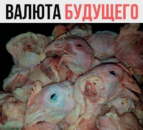 ВАЛЮТА БУДУЩЕГО