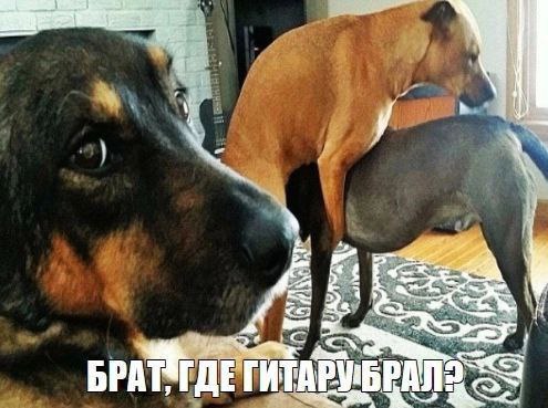 в с БРАТ у ГДЕ ESI
