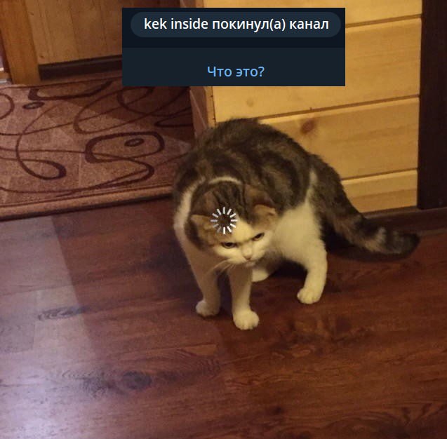 А этому умнику мы дружно насрем в тапки