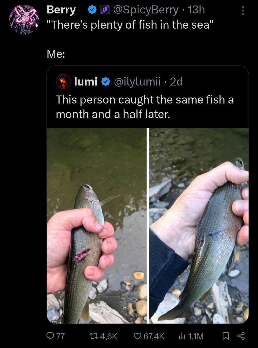 Berry @SpicyBerry "There's plenty of fish in the sea" Me: lumi @ilylumii This person caught the same fish a month and a half later. 4 on