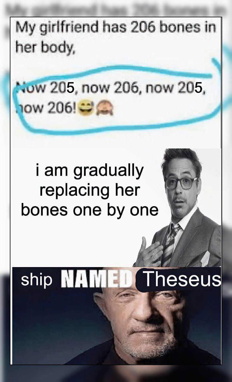 girlfriend has 206 bones in her body чом 205, now 206, now 205 зом 206! gradually replacing her bones one one ship NAM Theseu