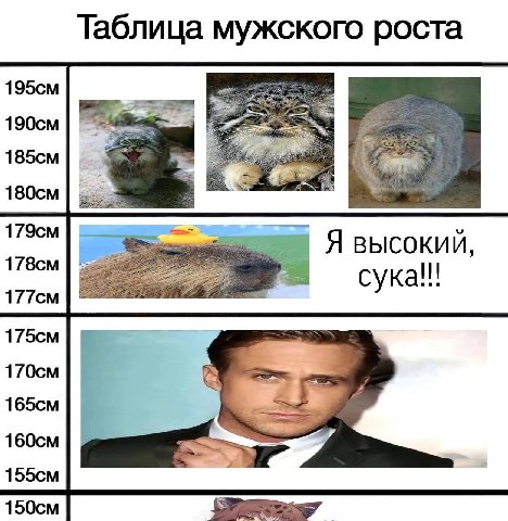 Таблица мужского роста Я высокий, сука!!!
