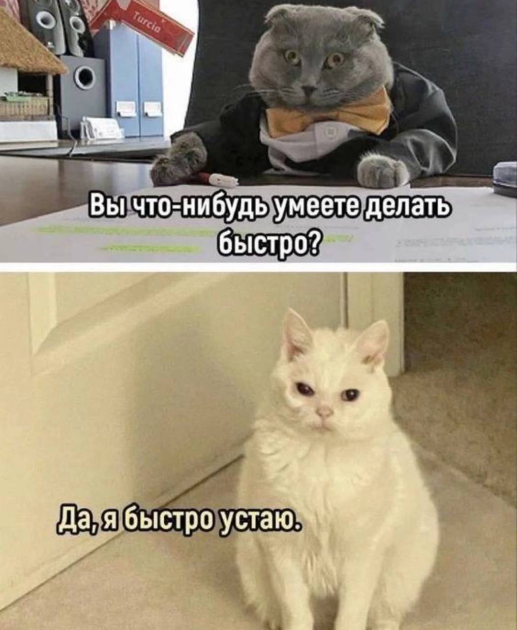 Вы что-нибудь умеете делать быстро? Да, я быстро и