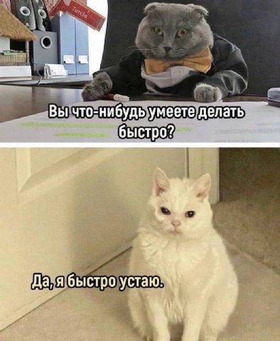 Вы что-нибудь умеете делать быстро? Да, я быстро и