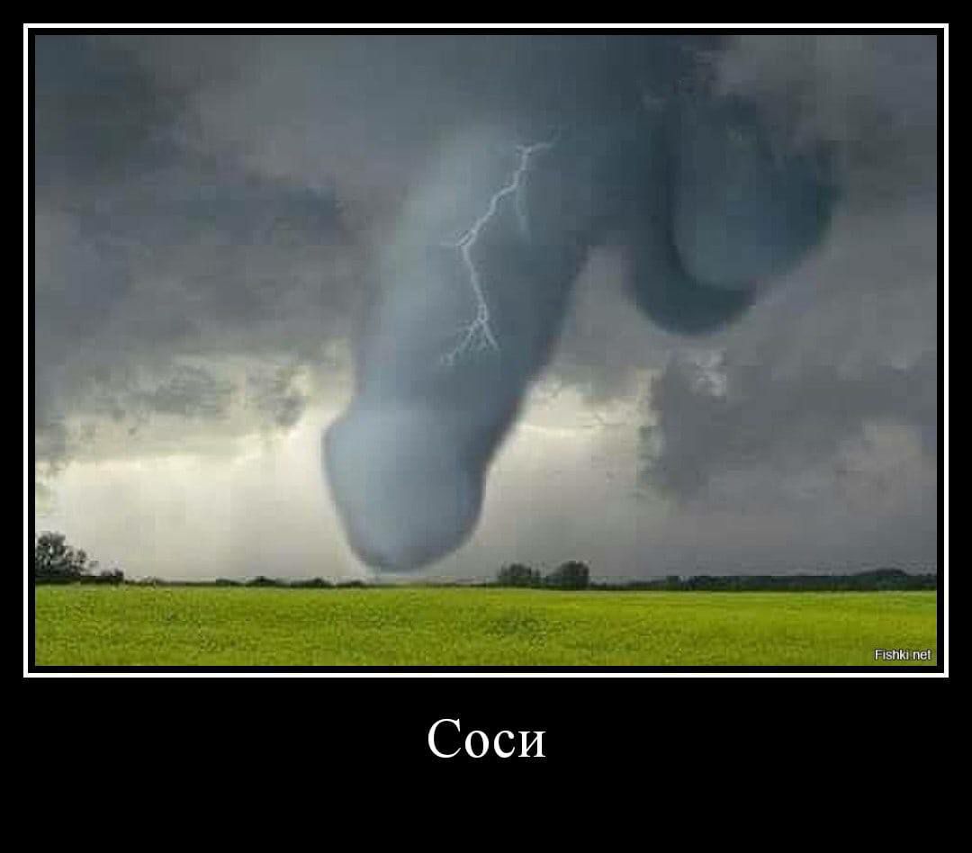 Соси