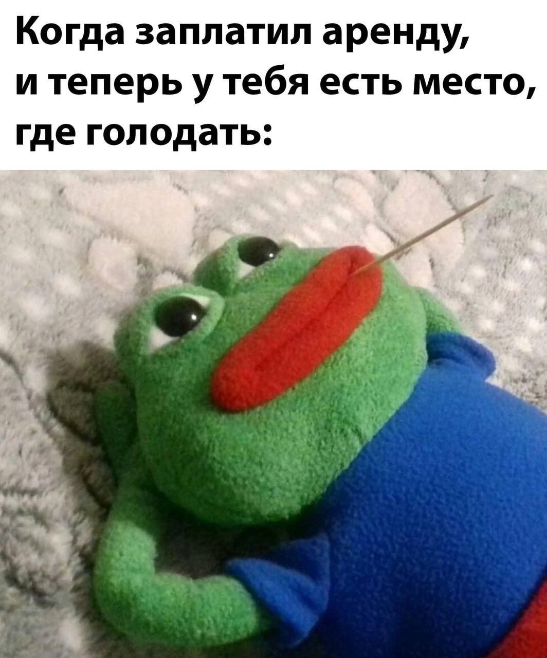 Когда заплатил аренду, и теперь у тебя есть место, где голодать: