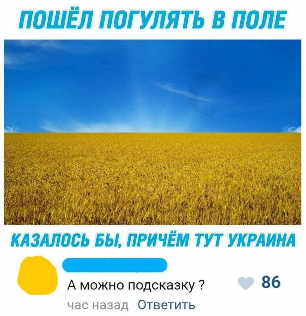 ПОШЁЛ ПОГУЛЯТЬ В ПОЛЕ КАЗАЛОСЬ БЫ, ПРИЧЁМ ТУТ УКРАИНА A можно подсказку 86 час назад Ответить