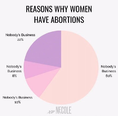 REASONS WHY WOMEN HAVE ABORTIONS Nobody's В 22% Nobody’ Nobody 8% 60%