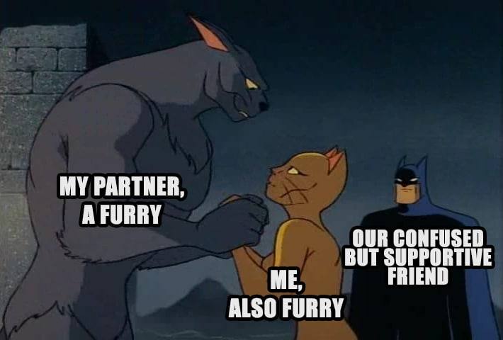 MY PARTNER, OUR CONFUSED BUT SUPPORTIVE FRIEND ALSO FURRY