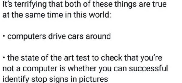 It's terrifying that both of these things are true at the same time in this world: computers drive cars around the state of the art test to check that you're not a computer is whether you can successf